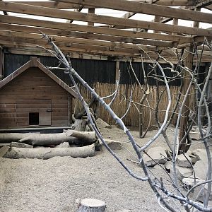 Meerkat Enclosure at Ponderosa Zoo (October 2022)