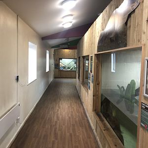 Reptile House Interior at Ponderosa Zoo (October 2022)