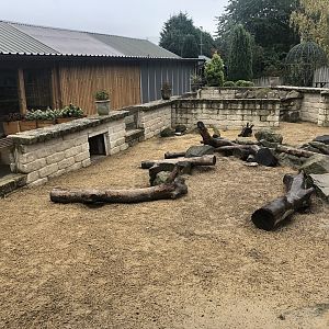 Cape Porcupine Enclosure at Ponderosa Zoo (October 2022)