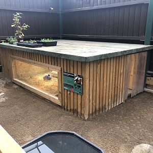 Tortoise House at Ponderosa Zoo (October 2022)