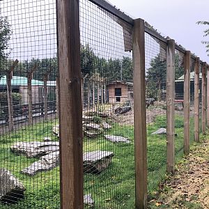 Serval Enclosure at Ponderosa Zoo (October 2022)