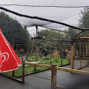 Lemur Walkthrough Enclosure at Ponderosa Zoo (October 2022)