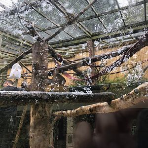 Squirrel Monkey Enclosure at Ponderosa Zoo (October 2022)