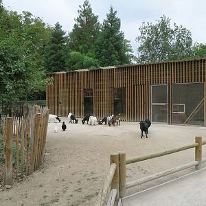 Farm - new stable