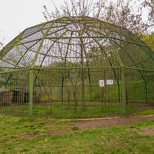 "Ape enclosure"