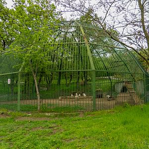 "Ape enclosure"