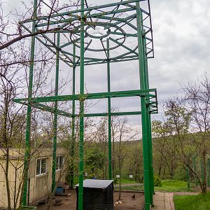 "Gibbon enclosure"