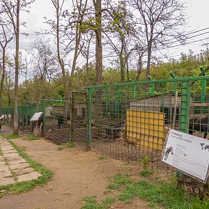 enclosures of ponies and donkeys