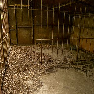 old carnivore cage - inside
