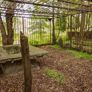 old carnivore cage - inside