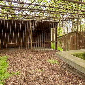 old carnivore cage - inside