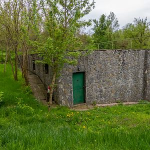 enclosure of brown bears