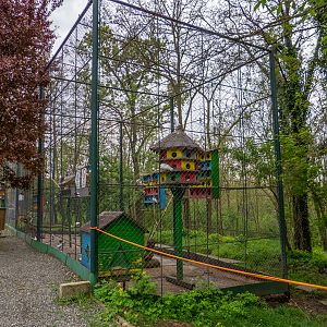 enclosure of chicken and doves