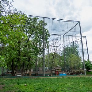 enclosure of chicken and doves