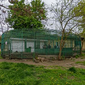 enclosure of raccoon