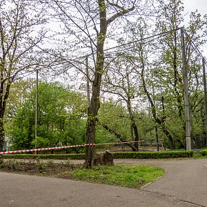 enclosure of water fowl