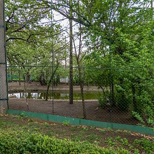 enclosure of water fowl