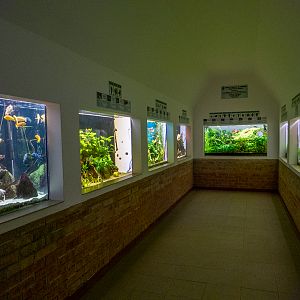 Aquarium