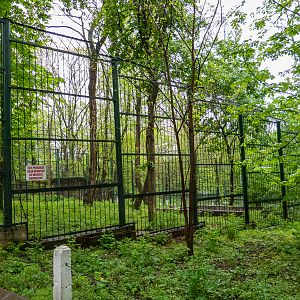 enclosure of brown bear