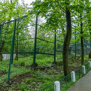 enclosure of brown bear