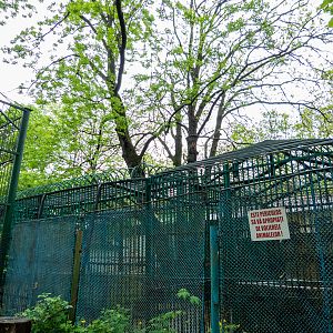 enclosure of brown bear