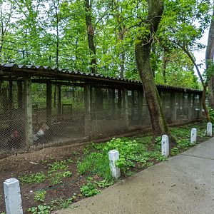 enclosure of chicken