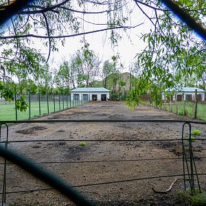 enclosure of donkeys and goats