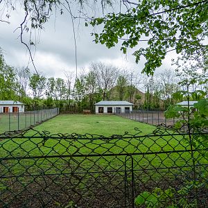enclosure of red deer