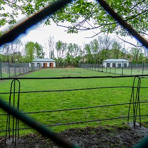enclosure of barbary sheep