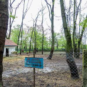 enclosure of European bison