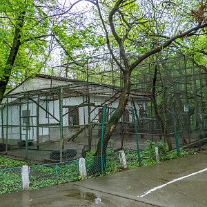 enclosure of monkeys