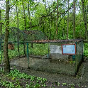 enclosure of chinchilla
