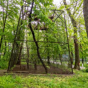 enclosure of Eurasian Eagle owl