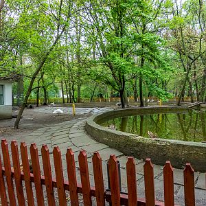 enclosure of waterfowl