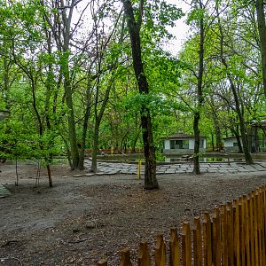 enclosure of waterfowl