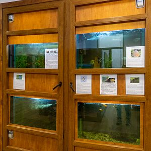 tanks of reptiles and fish