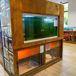 tanks of reptiles and fish