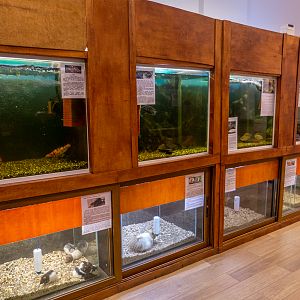 tanks of mammals and fish