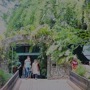 Stone arch near the Ostrich exhibit