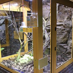 Enclosure European herps