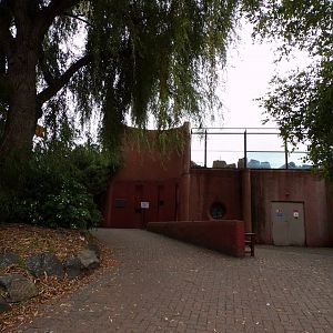 Path up to the temporary sloth enclosure