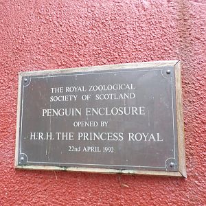 Penguin enclosure opening date