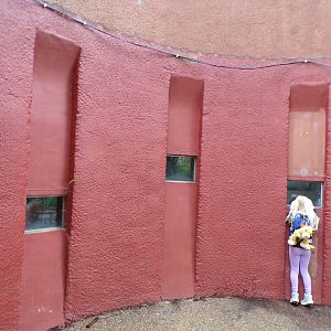 Views in to a keeper’s area?