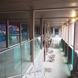 Steller's sea lion underwater viewing area, 2022-09-14