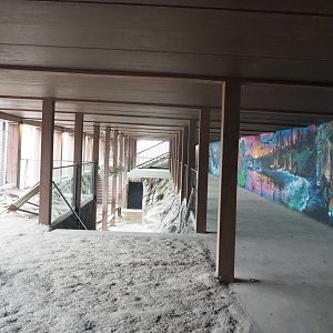 Steller's sea lion underwater viewing area, 2022-09-14