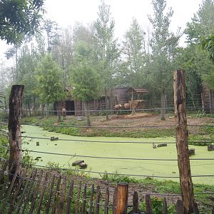 Wapiti paddock, 2022-09-14