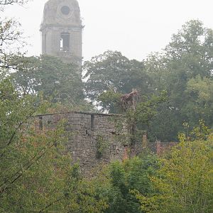 Old abbey tower and Saint Bernard tower seen from The Last Frontier, 2022-09-14