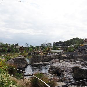 Steller's sea lion exhibit, 2022-09-15