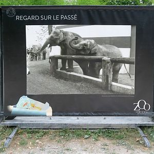 Old elephant enclosure