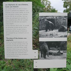 History of elephants at Zoo dÀmiens
